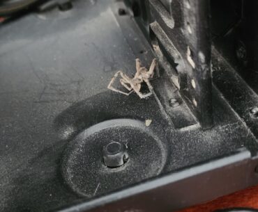 Who have you found living(or dead) in your PC?