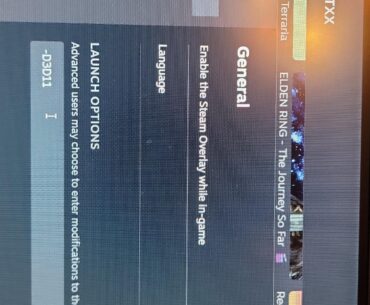 Steam launch option?