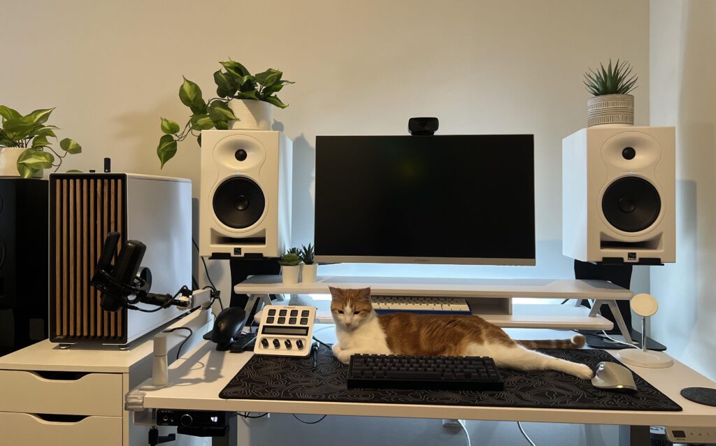 My Purrfect Setup