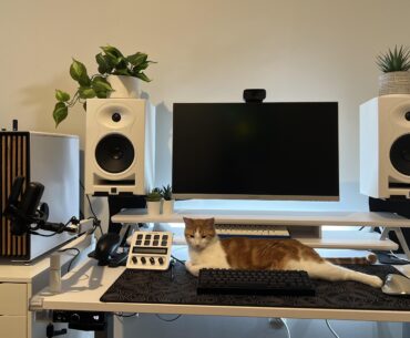 My Purrfect Setup