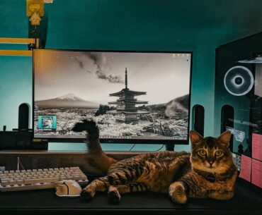 Been three years since I’ve built this rig. Rate my build. ( say hi to my cat )