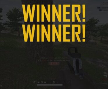 Pistol FTW