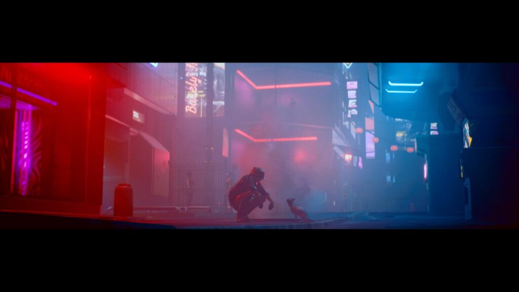 Cyberstray