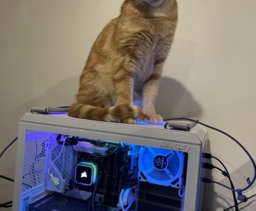 Rate my build