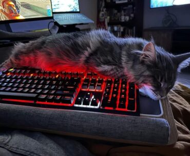 Hello, somebody knows the model of this keyboard?