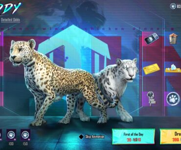 Holla Buddy🐅 lies in the category of Lucky Spin🤞🏻