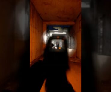 BODYCAM REALISTIC FPS GAMES