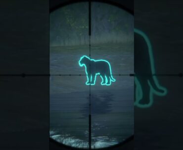IS THIS A MELA TIGER??? The Hunter:Call of the Wild  #cotw #thehuntercallofthewild #shorts