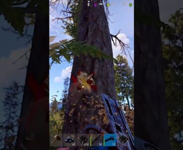 How Dad Rolls In #Rust