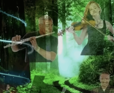 Forest maps in Video Games