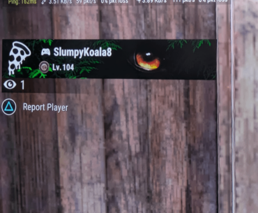 This person is an intentional teamkiller.