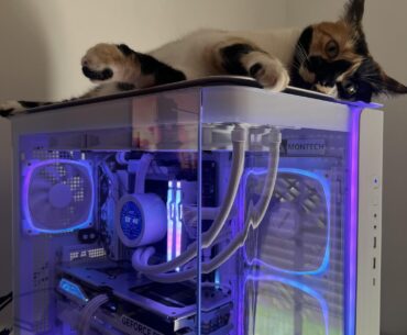 This is fine?