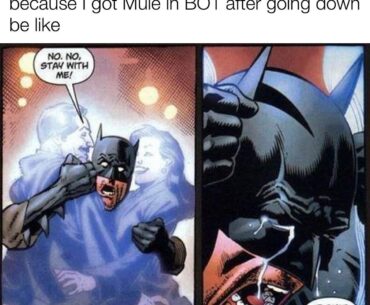 I totally forgot losing mule means your gun is gone lol