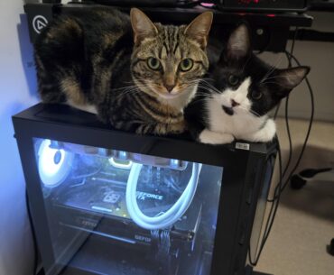 The Top Cover for my PC Looked Lonely so I Got Another