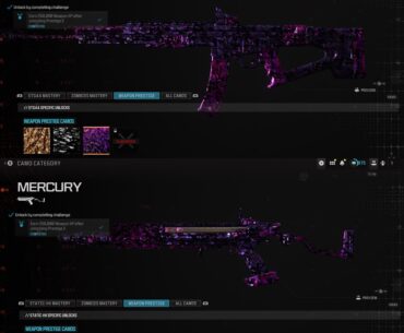 Season 5 weapon prestige camos on the new season 5 guns...I think I have carpal tunnel and I see shipment in my dreams but they look cool