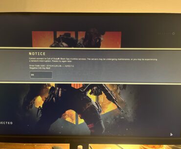 Are there still online servers for this game on PC?