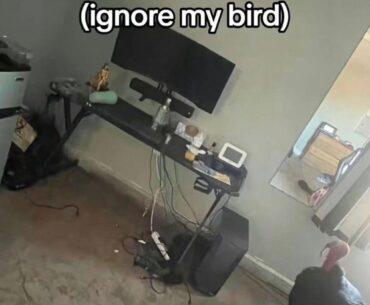 W setup?