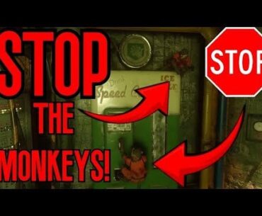 A Comprehensive Tutorial on How to Easily Stop the Monkeys from Stealing your Perks on Ascension