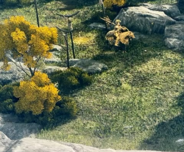 Why is every game I play so blurry?
