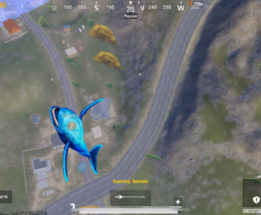 They showed me a view of the spawn island while my friend was on the whale