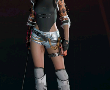 Valkyrie Wallrunner Build