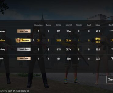 29 kills 3829 damage WWCD!