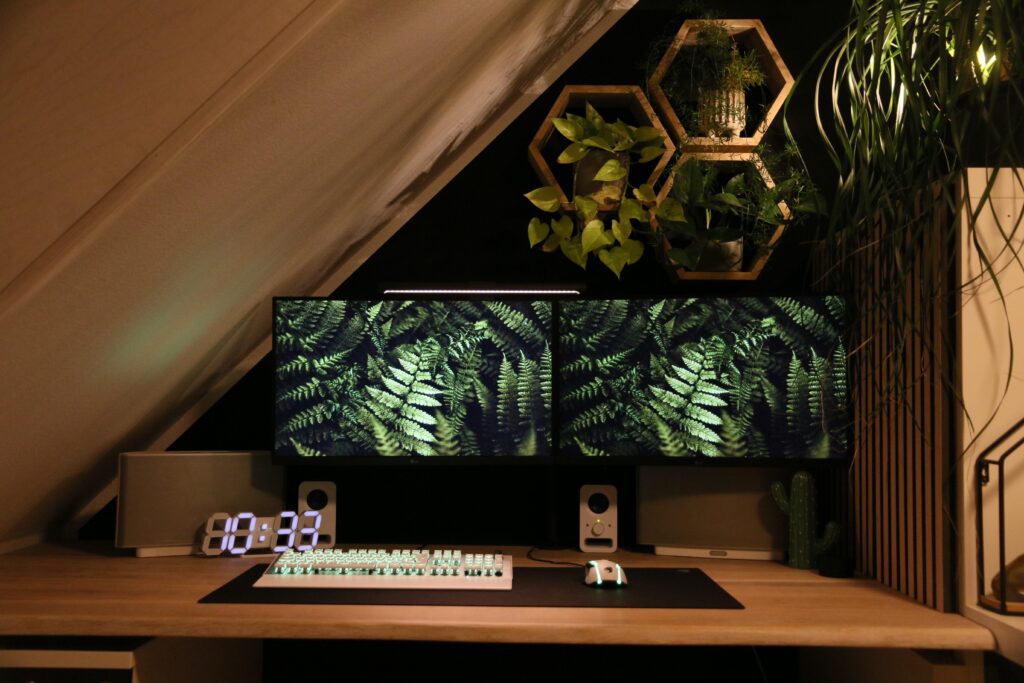 dual monitor setup