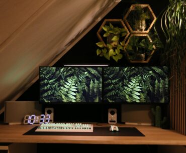 dual monitor setup