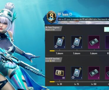 RP Team