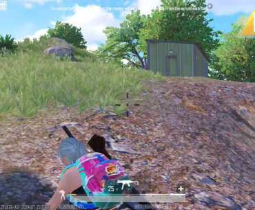 Damn these Ghillie snakes ...
