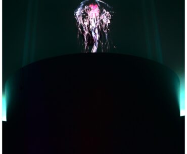 Holographic jellyfish
