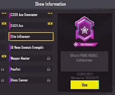 Is Elite influencer == PUBGm partner?