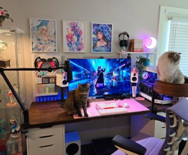 Just added the Desk Nest cat bed to my setup 😺