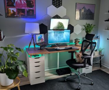 Setup complete, including my pup