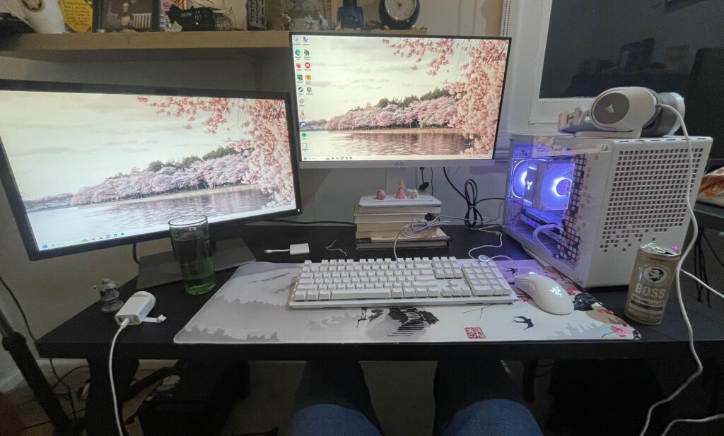 POV shot of my cherry blossom set up 🌸
