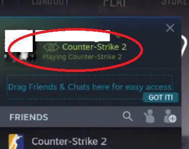 My friends Steam account shows this crossed out eye ONLY when she plays CS2 - can anyone help fix this?