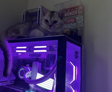 bro thinks he owns the computer