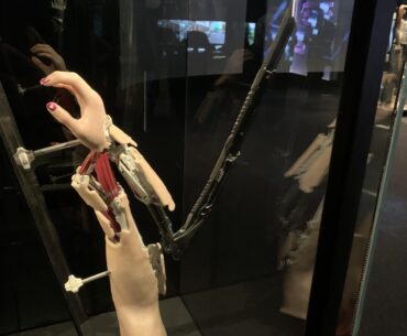 Found a mantis-arm in Sweden