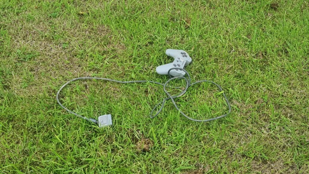 Found this random gem lying on some grass while out walking the dog