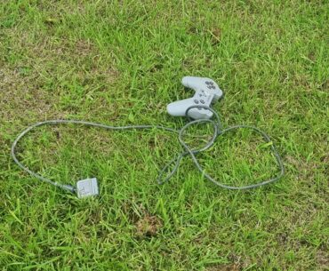 Found this random gem lying on some grass while out walking the dog