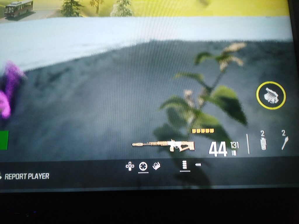 Good gun.