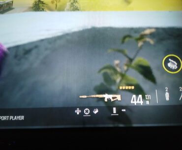 Good gun.