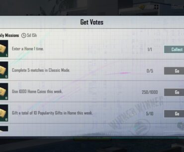 Home vote mission