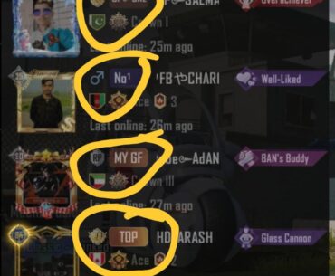 How come people have these extra highlighted usernames along with their basic username?