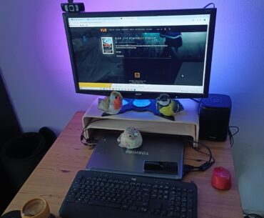Birdstation