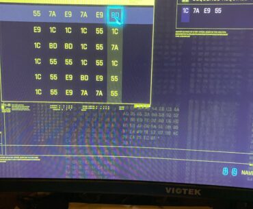 Am I stupid or something?