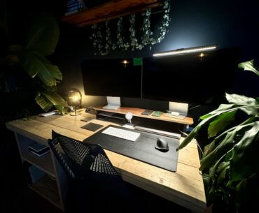 My home office. Love being surrounded by green.