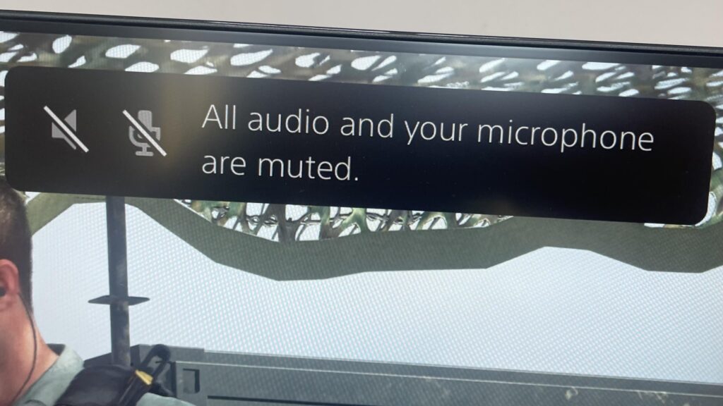 As soon as the intro cutscene starts