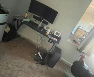 rate the setup (ignore the bird)