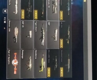 Deciding which gun I should buy in blops4